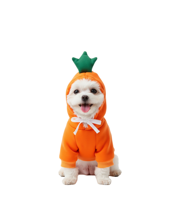 Pet Christmas Clothes Santa Claus